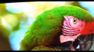 Лучшие бюджетные телевизоры 55 дюймов до 40000 рублей  Рейтинг телевизоров 2023 цена качество