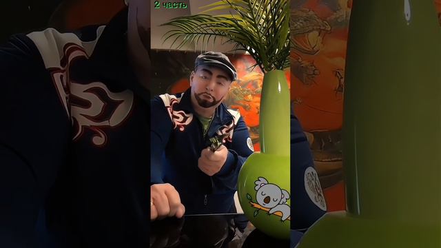 25 февраля 24-го года поворот от бога смешной желаю вам отличного настроения