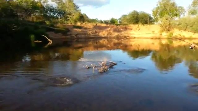 Язь 2+кг смотреть онлайн