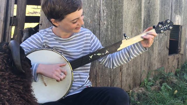 “Oh Suzanna” Fretless Clawhammer Banjo, wait for it. смотреть онлайн