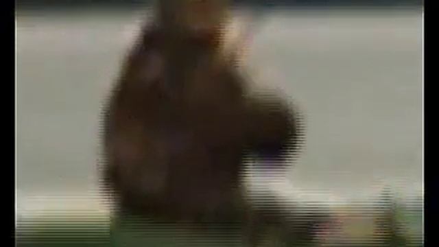 Волжский Судак смотреть онлайн