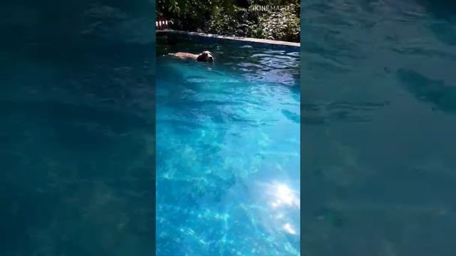 Купальный сезон открыт! Гип-гип ура!!!