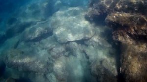 Рыбалка в Аланье (Турция, 2022)