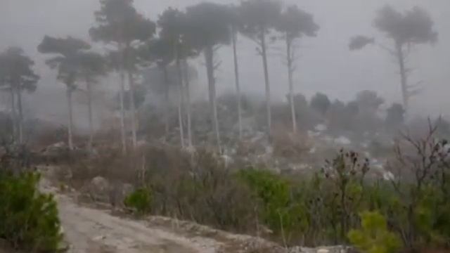 Ульям шекспир Сонет 93 смотреть онлайн