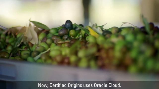 Trust in Every Drop: Certified Origins смотреть онлайн