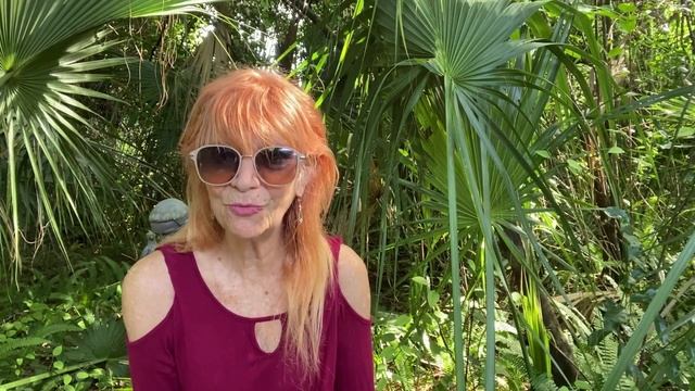 ANGEL MOON HIGHLIGHTS WEEK 8/15/22 SUN MOON ORACLE CARDS смотреть онлайн