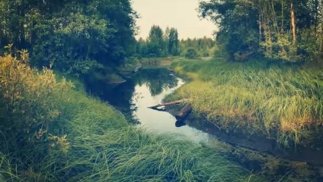 Речка быстрая