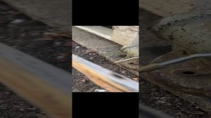 Электролизер ННО H160-A