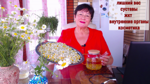 РОМАШКА ЛЕЧЕБНАЯ - ЭЛИКСИР ЗДОРОВЬЯ , МОЛОДОСТИ И КРАСОТЫ ! ЛИШНИЙ ВЕС , СУСТАВЫ , ЖКТ