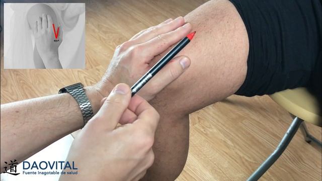 PUNTO 10 de BAZO - 血海 - xuè hăi | amenorrea, dismenorrea, urticaria, dermatitis, prurito, eccema смотреть онлайн