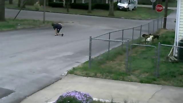 Sometimes Security Cameras catch a gem! смотреть онлайн