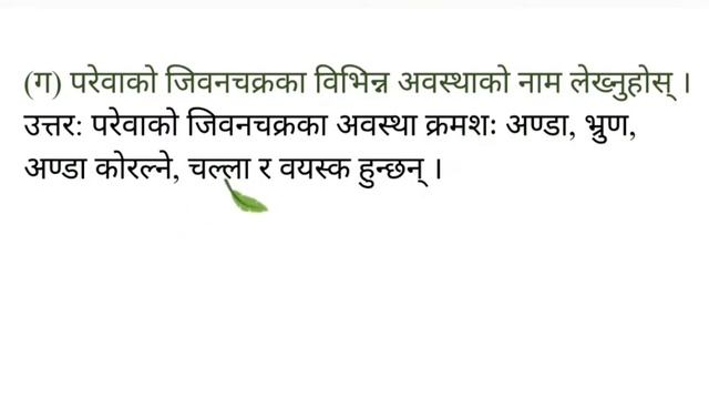 class 4 | science and Technology | chapter 5 | Life Process | Exercise. смотреть онлайн