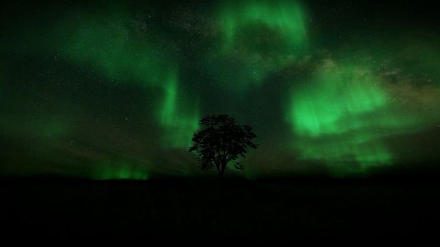 Jeremy Soule (Skyrim) — “Wind Guide You” [Extended with “Night” Ambience] (1 Hr.) смотреть онлайн