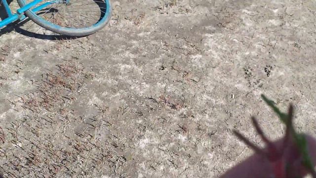 Дива Арабатської Стрілки 2/1. Солерос. смотреть онлайн