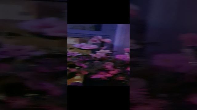 Преддверие Рождества 2023.