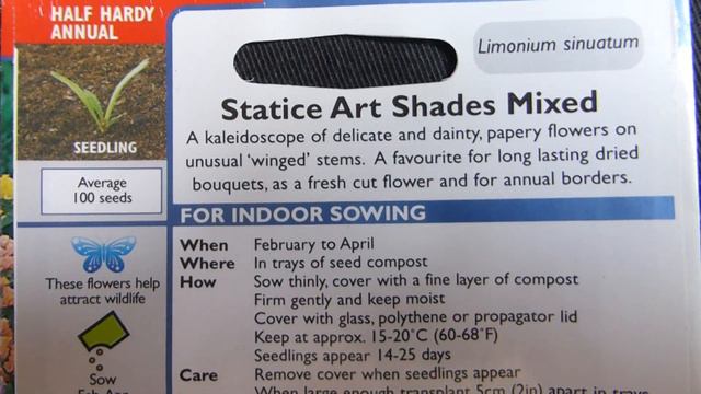 Statice Seeds - Limonium sinuatum - Fétoppur - Sumarblóm - Blómafræ - Fræpakki