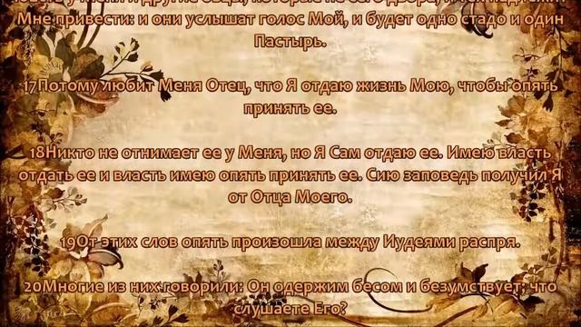 Евангелие от Иоанна в Синодальном переводе с текстовым сопровождением смотреть онлайн