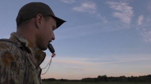 Охота на дупеля. День 1.