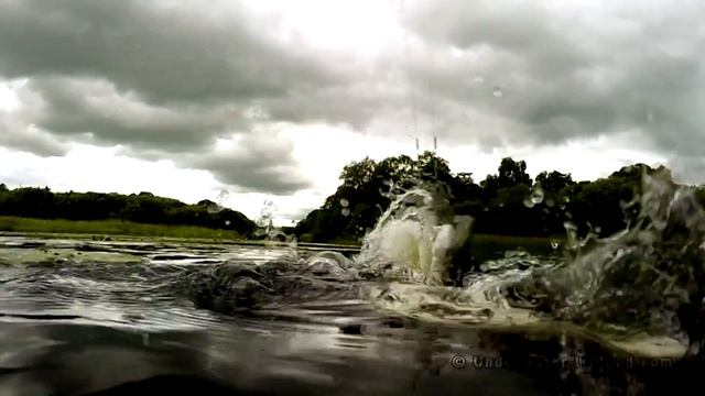 Pike fishing: a short session wt shallow crank Realis Flatside. Рыбалка щука на крэнк. смотреть онлайн