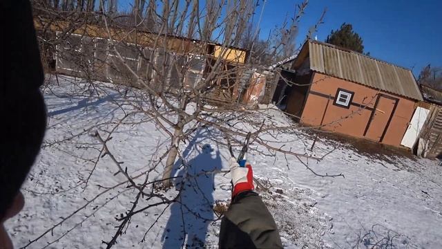 Поднимаем крону яблони с поникшими ветвями смотреть онлайн