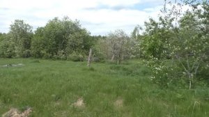 Из 40 домов осталось только 7. Грустная деревня в окружении лесов. Дом с необычной крышей. Деревня.