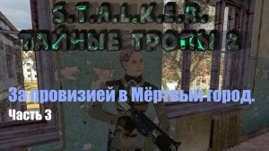 S.T.A.L.K.E.R. Тайные Тропы 2. На движке OGSR Engine. Часть 3: За провизией в Мёртвый город.