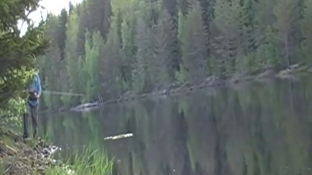 Schweden Швеция 2012