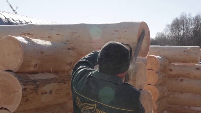 Технология правильной русской ручной рубки бревна. Сибирская рубка в чашу смотреть онлайн