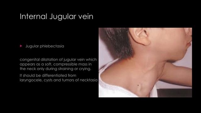 ANATOMY | VENOUS & LYMPHATIC DRAINAGE OF THE HEAD & NECK смотреть онлайн
