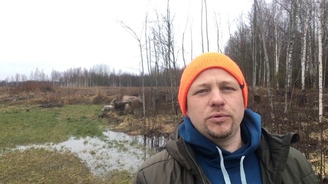 Что делать с заболоченным участком?