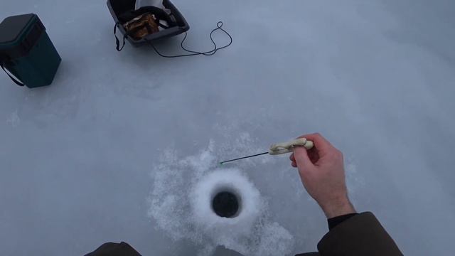 В ПОИСКЕ КРАСНОПЁРКИ, В ГЛУХОЗИМЬЕ смотреть онлайн