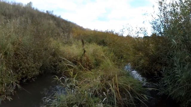 ловим раков смотреть онлайн