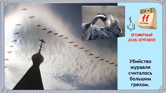 Солнечные птицы. Факты о журавлях. смотреть онлайн