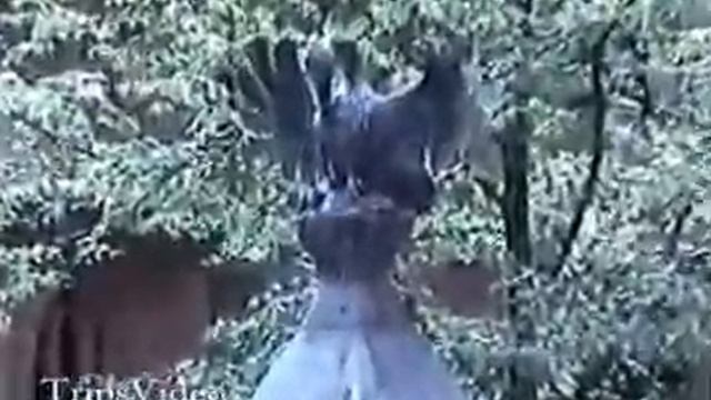 Poland Malbork Castle and Gdansk City Tour смотреть онлайн