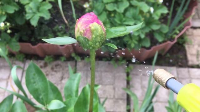 Творчество и Вдохновение