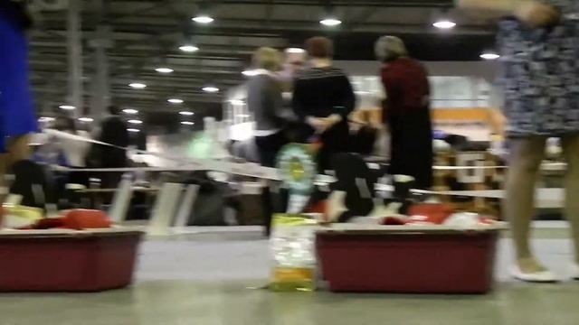 моно дельта пал 2015 ФИНАЛ.