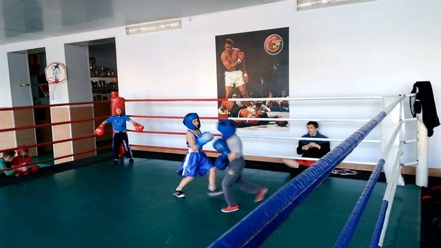 Спаринги дети бокс - Sparing children boxing 2 смотреть онлайн