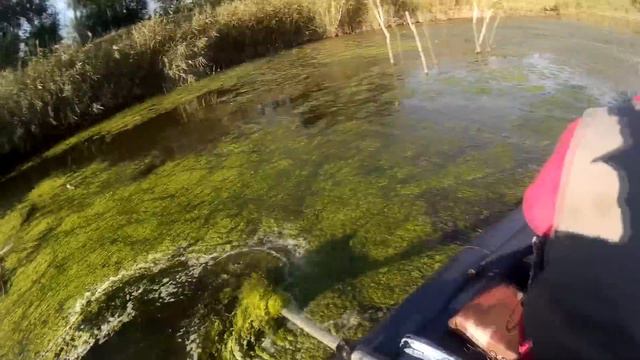 Река Ингулец Рыбалка в черте города смотреть онлайн