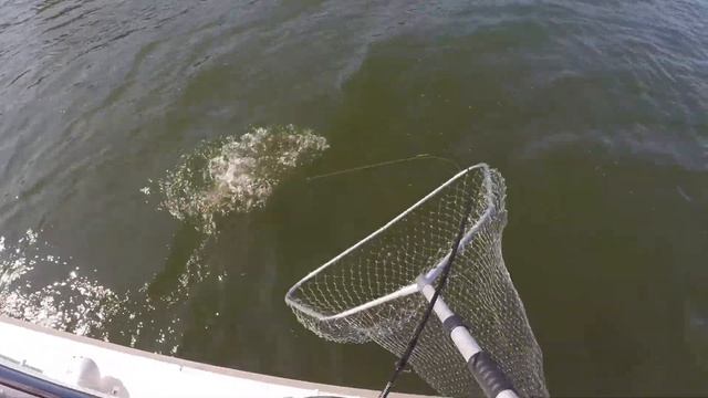 Рыбалка в Хельсинки 54 смотреть онлайн