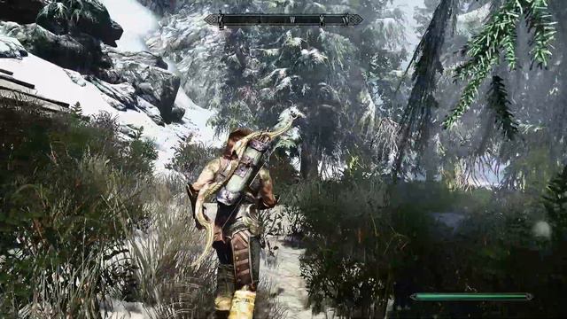 Skyrim - 60 FPS