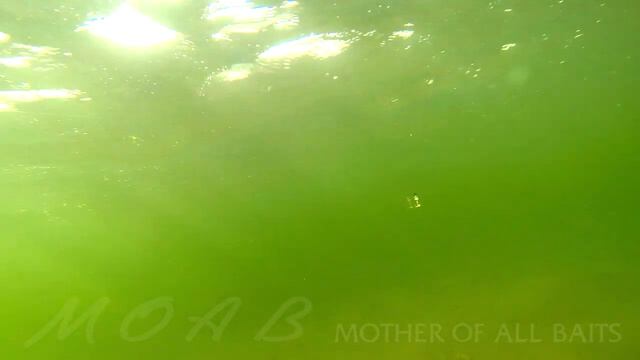 DUO`s Lures in Motion #22: Moab 85F смотреть онлайн