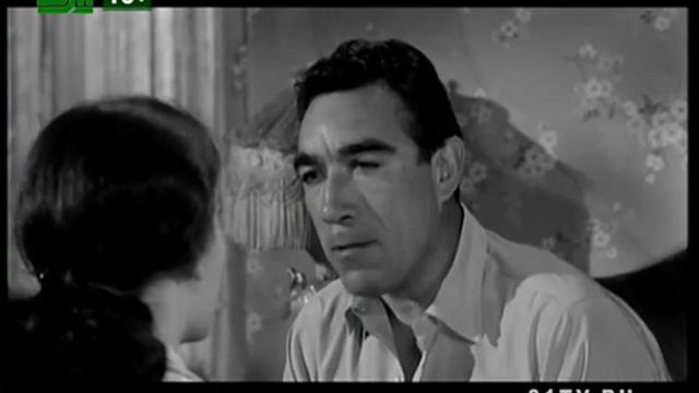 Черная орхидея Анонс фильма на 31 канале смотреть онлайн