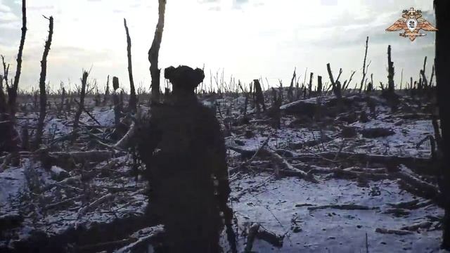 Первые кадры из "Зверинца" - большого укрепрайона врага в районе Новомихайловки смотреть онлайн