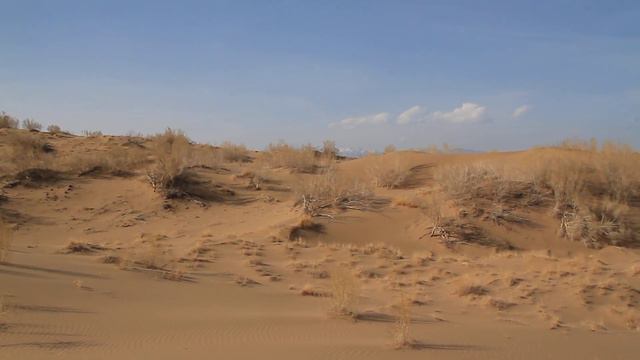 Поющий бархан. Национальный парк Алтын-Эмель (Алтынемел). Казахстан. Nature. Kazakhstan смотреть онлайн