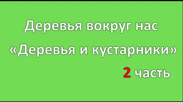 2ч Деревья вокруг нас Деревья и кустарники ЧДОУ Детский сад 198 ОАО РЖД смотреть онлайн