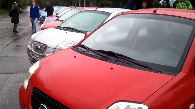 29 встреча пикантоводов в Москве