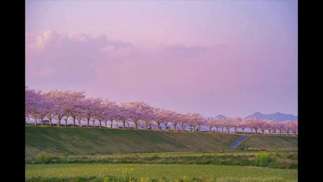 1 HOUR "ONLY TIKTOK PART" DŽANUM (MOJE MORE) Speed Up TEYA DORA смотреть онлайн