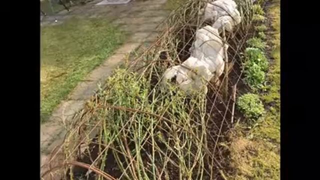 Мастер класс. Создание розового сада. смотреть онлайн