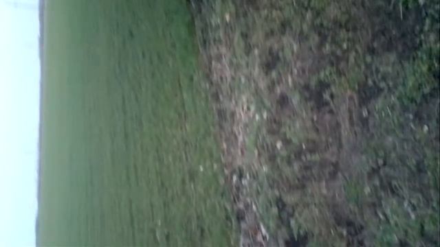 Ещё земли печален вид смотреть онлайн