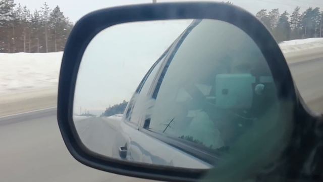 [Архив] Хаски в машине. Новый Буян. Хаски Капелла и щенки смотреть онлайн